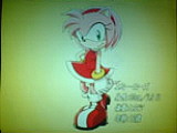 Amy Rose