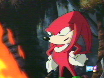 Knuckles close-up