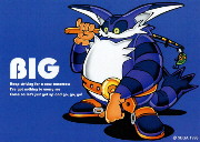 Big the Cat